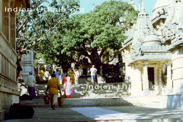 Besichtigung von einem Tempel in Indien.