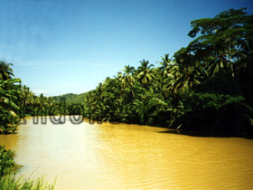 Fluss in Indonesien
